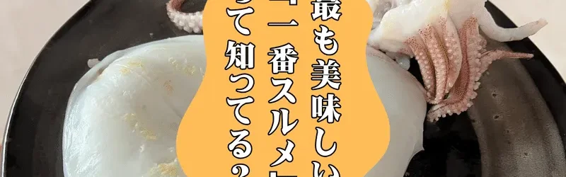 【徹底検証】 最も美味しい干しイカ「一番スルメ」ってなぁに？