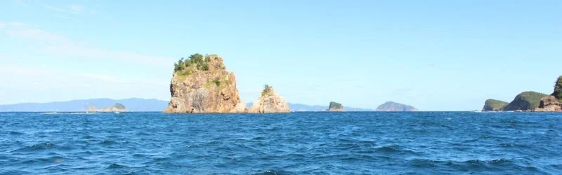 アクティビティ体験レポート ～AFSボート体験ツアー～