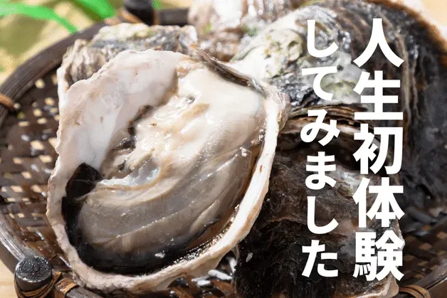 【島が誇る最高級ブランド】いわがき春香を食べたら、人生初の「ある体験」をしました